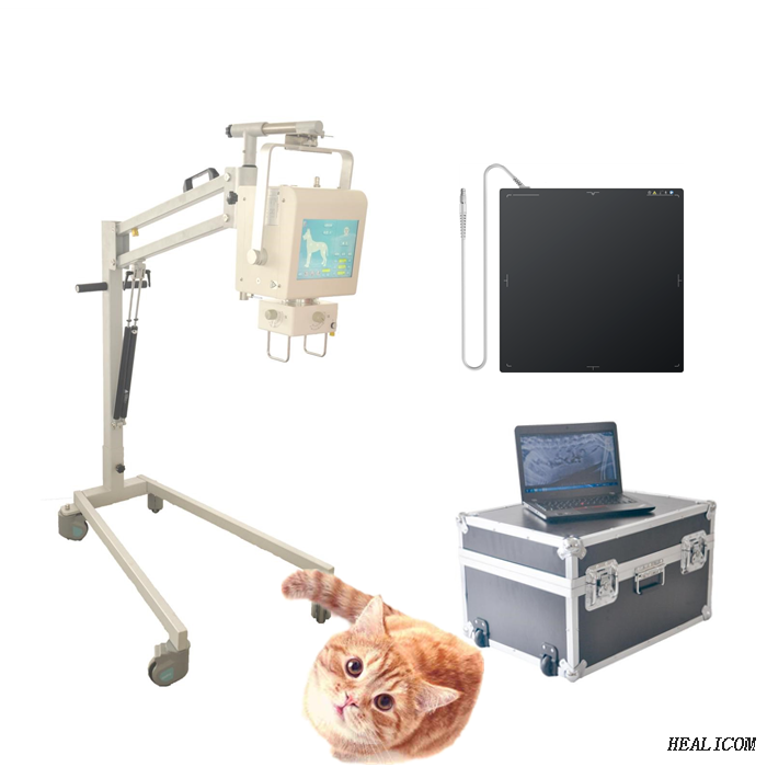 Prezzo a buon mercato WTX-05DR Veterinary Vet Medical Digital portatile a raggi X macchina per animali
